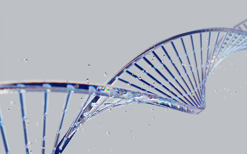 Bacterial Genomics Workshop